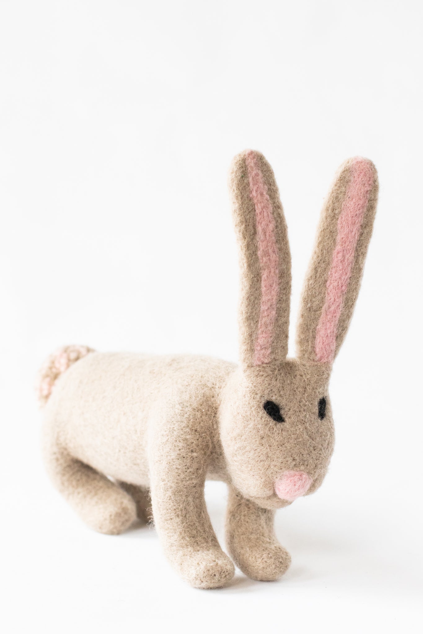 Bethie Bunny, Mimosa Legume