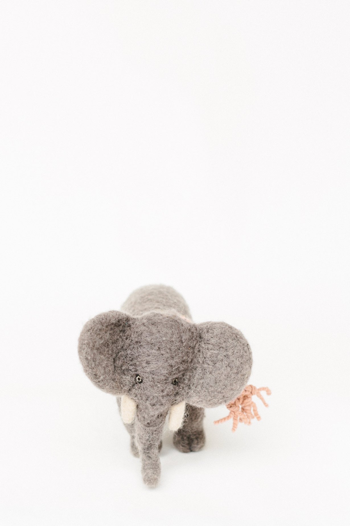 Ellie Elephant