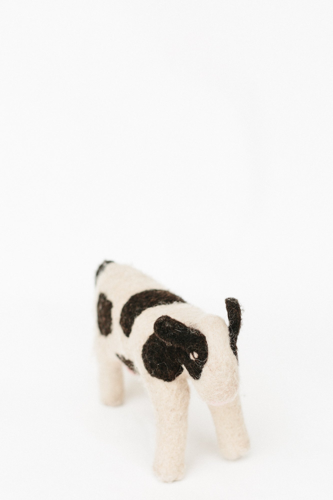 Carla Cow