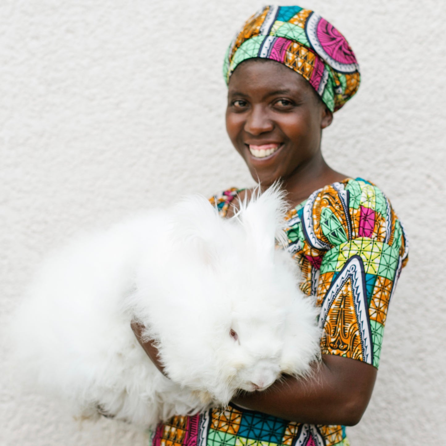 Organic Angora and Merino Blend, Mimosa Legume