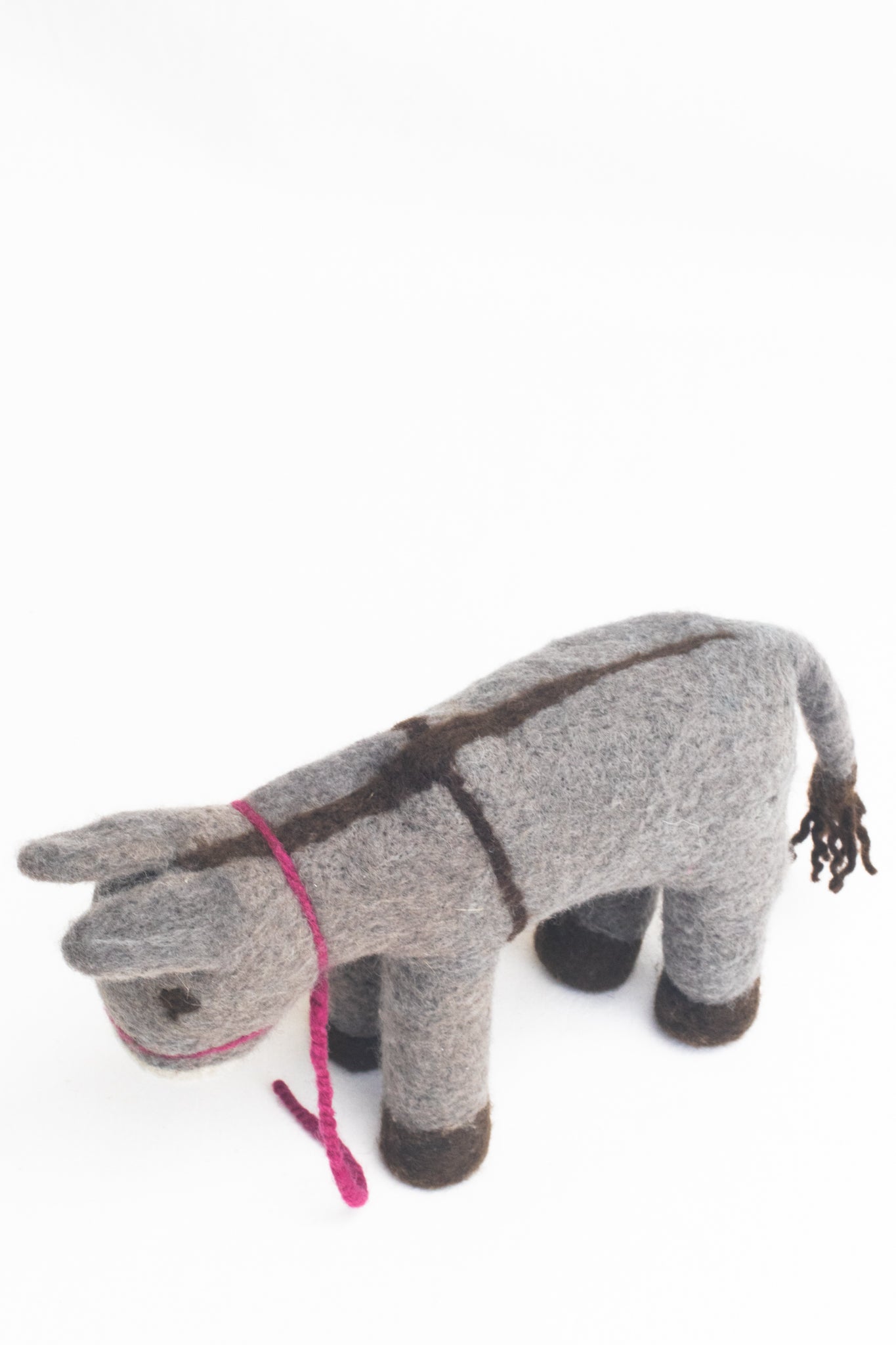 Punda Jerusalem Donkey