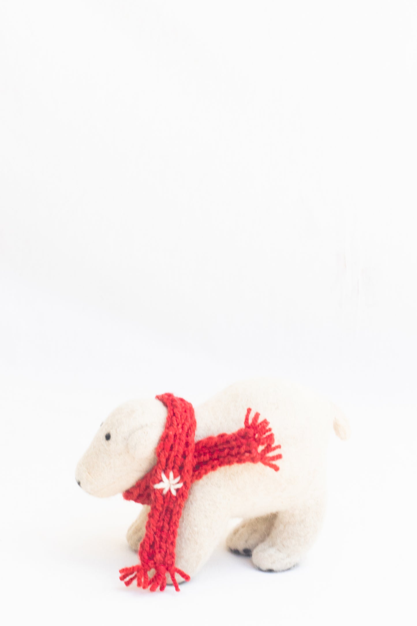 Isimbi Polar Bear