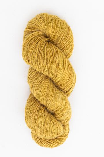 Knitting Pattern Kit / Wanderlust Beanie