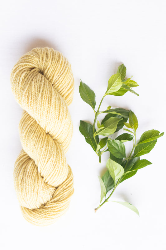 Organic Merino Wool Yarn, Pastel Topiary