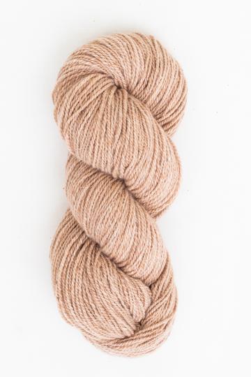 Knitting Pattern Kit / Wanderlust Beanie