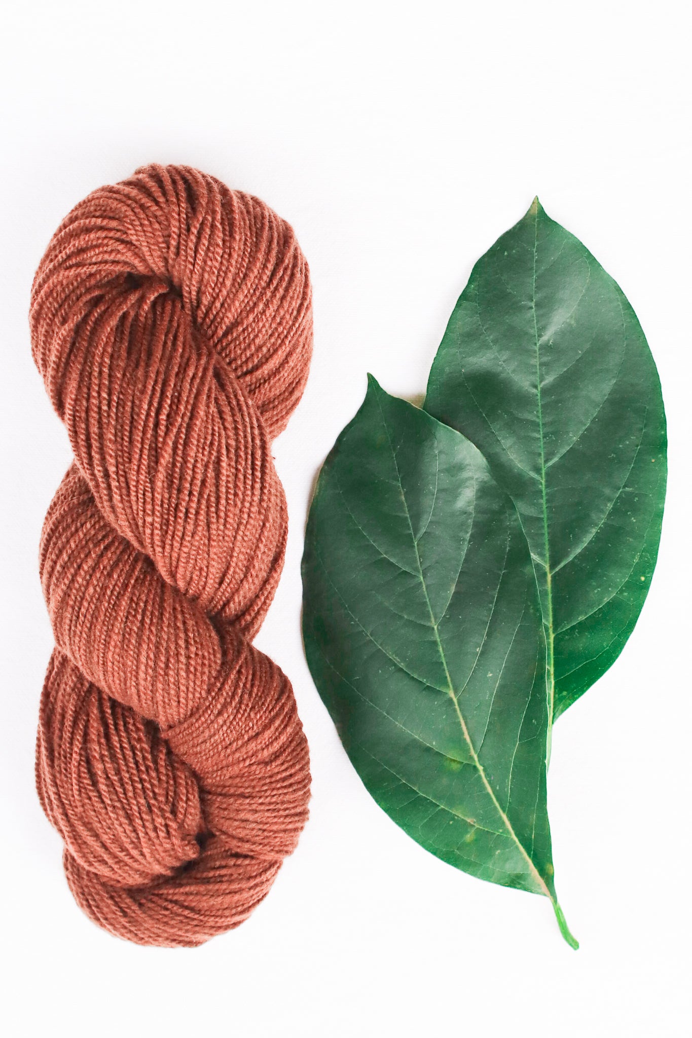 Organic Merino Wool Yarn, Avoka Leaves