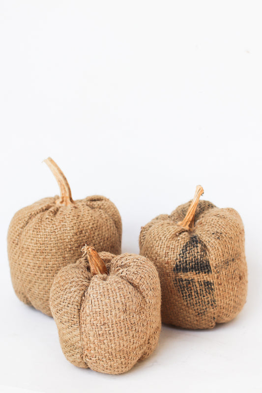 Burlap Pumpkin Set