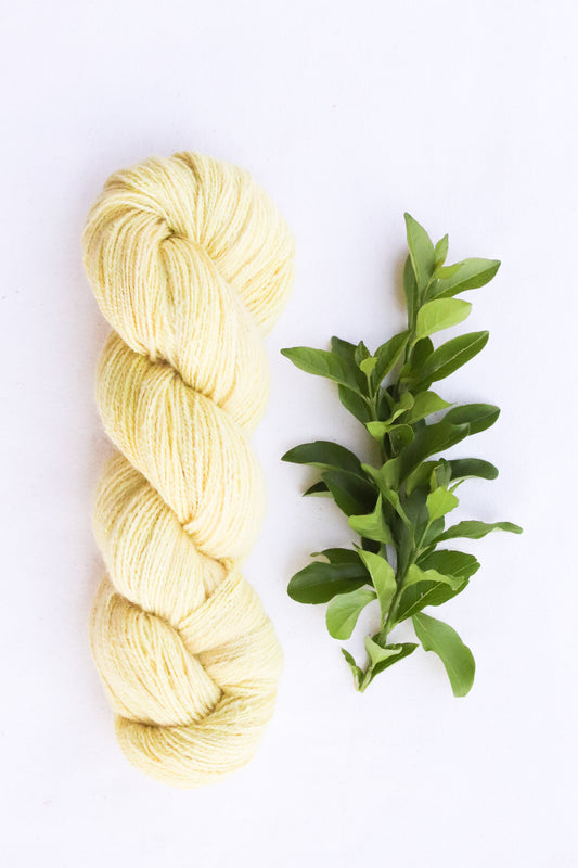 Organic Angora and Merino Blend, Pastel Topiary