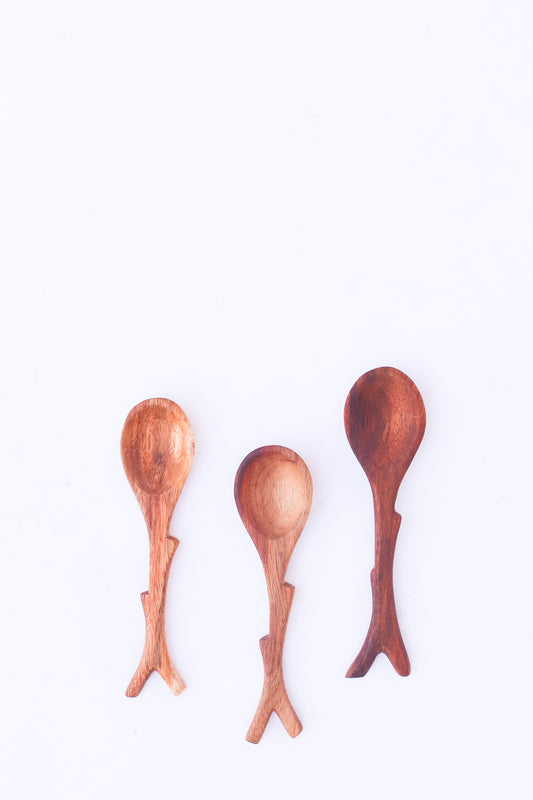Acacia Twig Spoon
