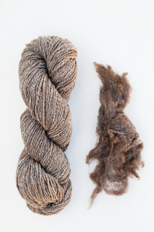 Organic Merino Wool DK, Natural Black Light