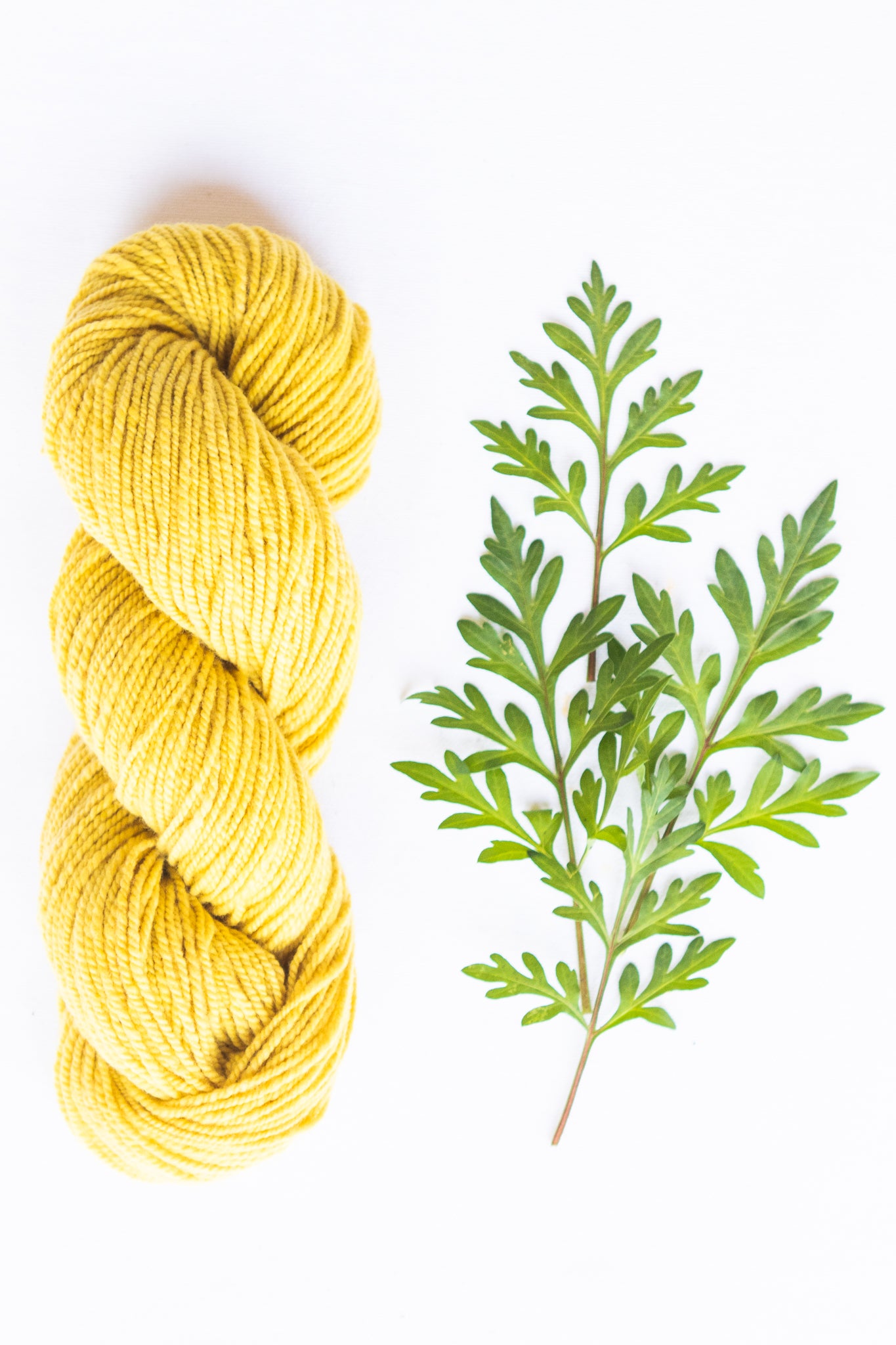 Organic Merino Wool Yarn, Fresh Cosmos – Handspun Hope