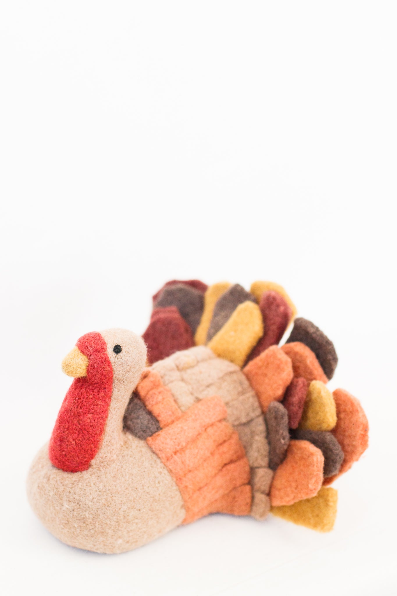 Tyler Turkey