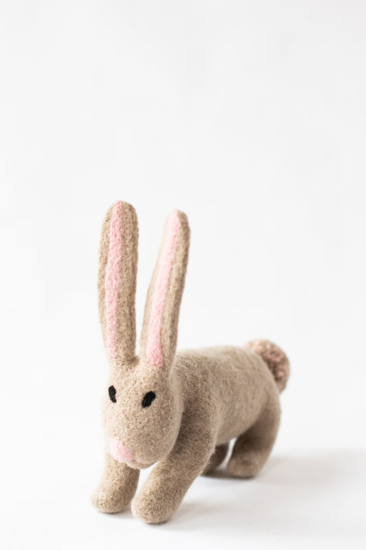 Bethie Bunny, Mimosa Legume