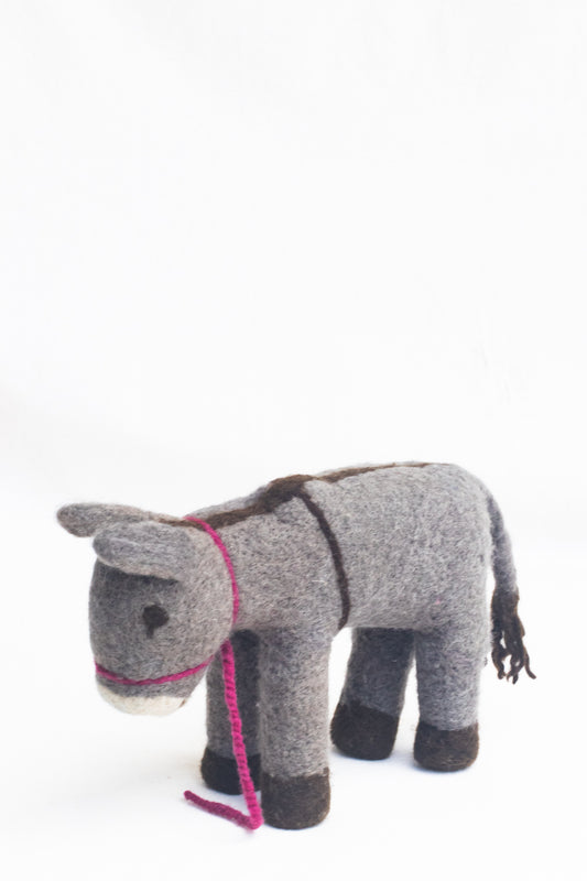 Punda Jerusalem Donkey