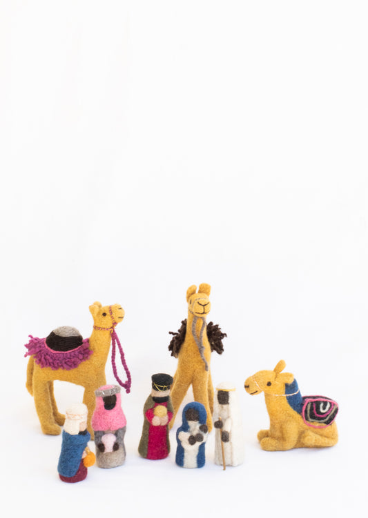 The Hope Nativity, Starter Edition