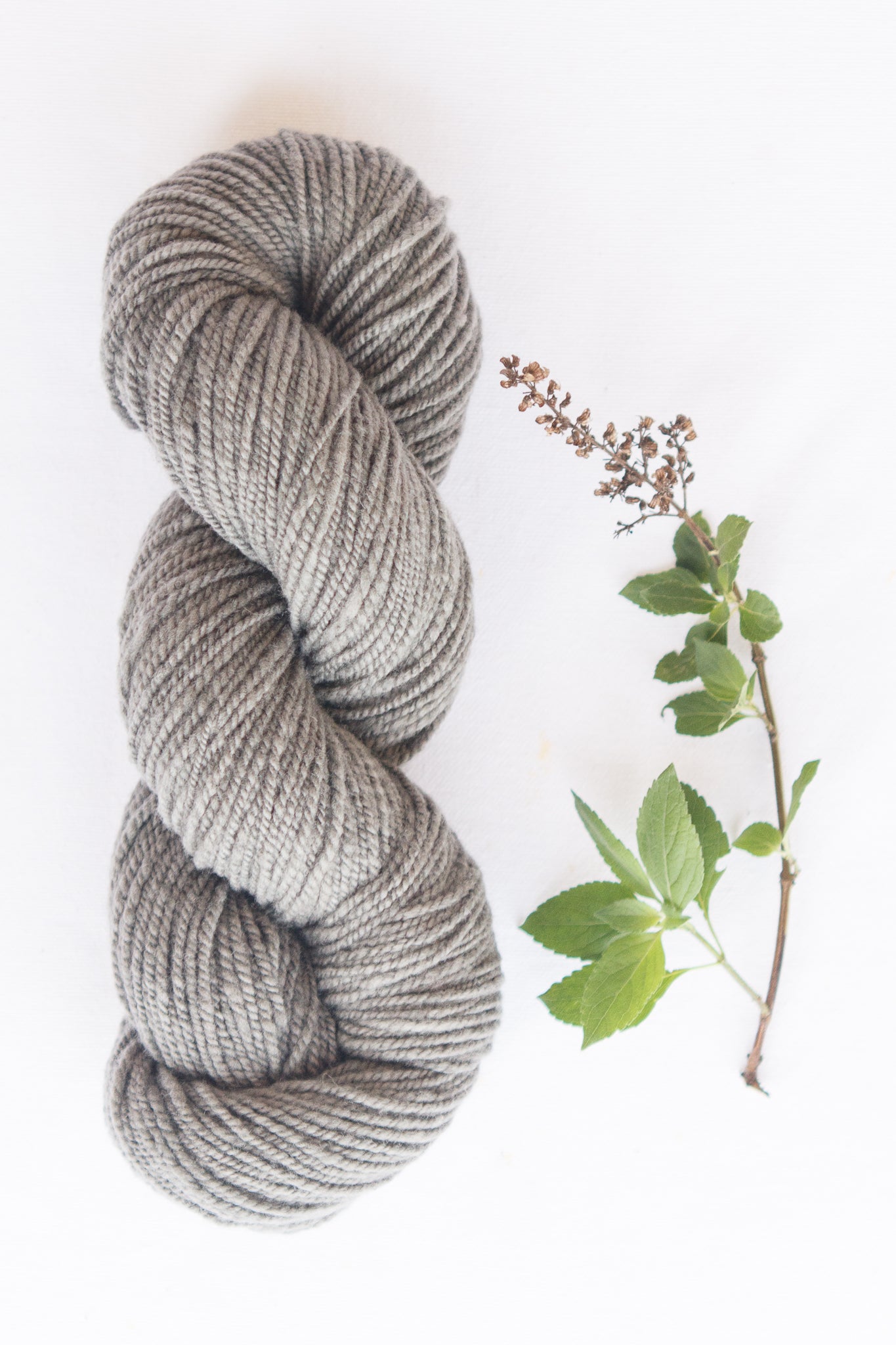Organic Merino Wool Yarn, Salvi